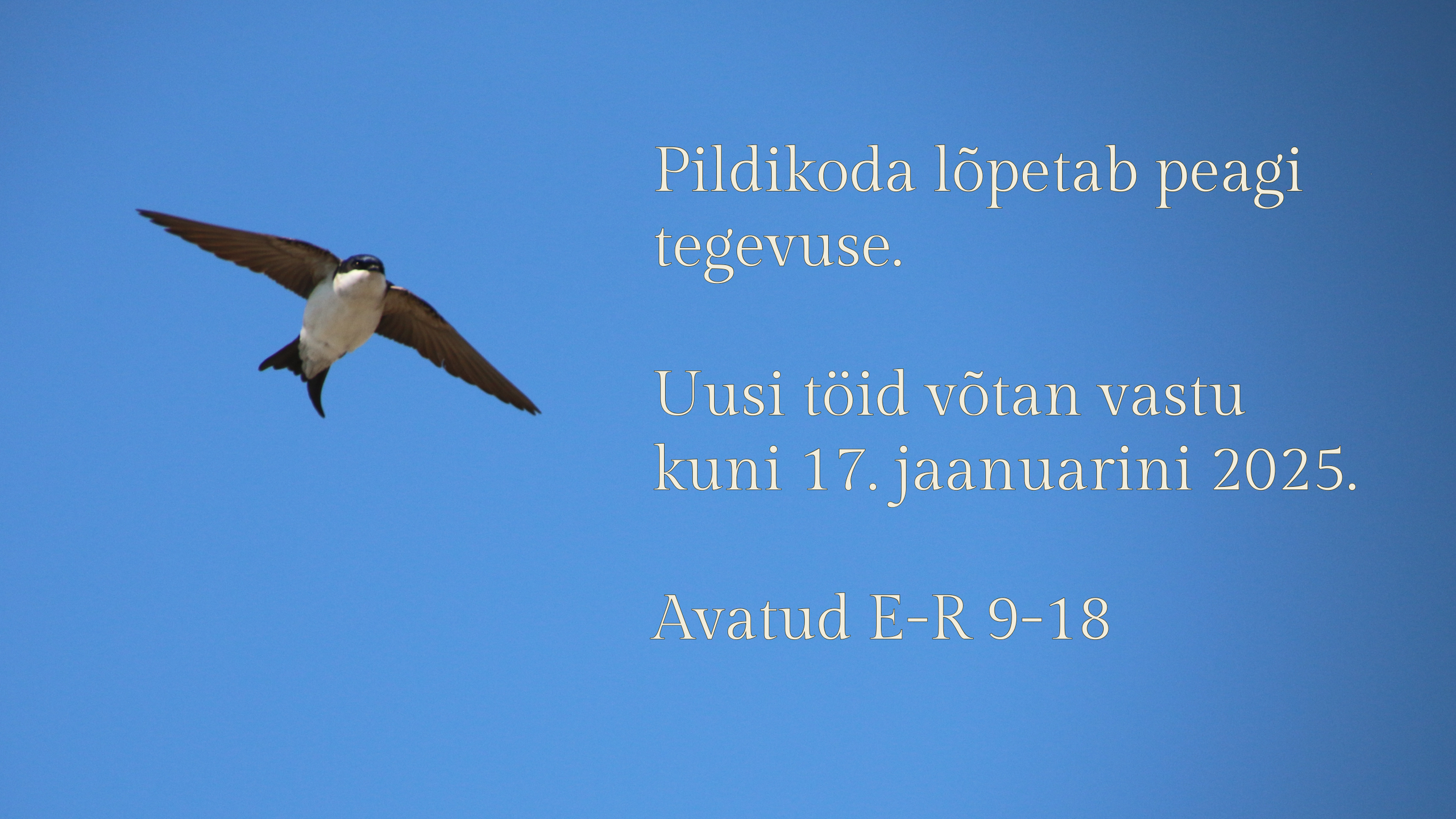 Pildikoda l&otildepetab;